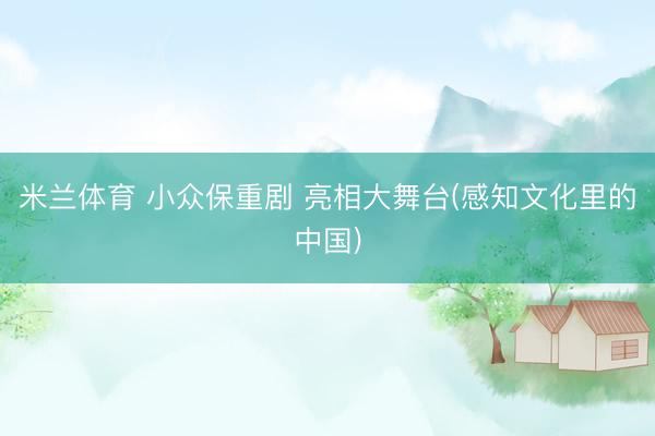 米兰体育 小众保重剧 亮相大舞台(感知文化里的中国)